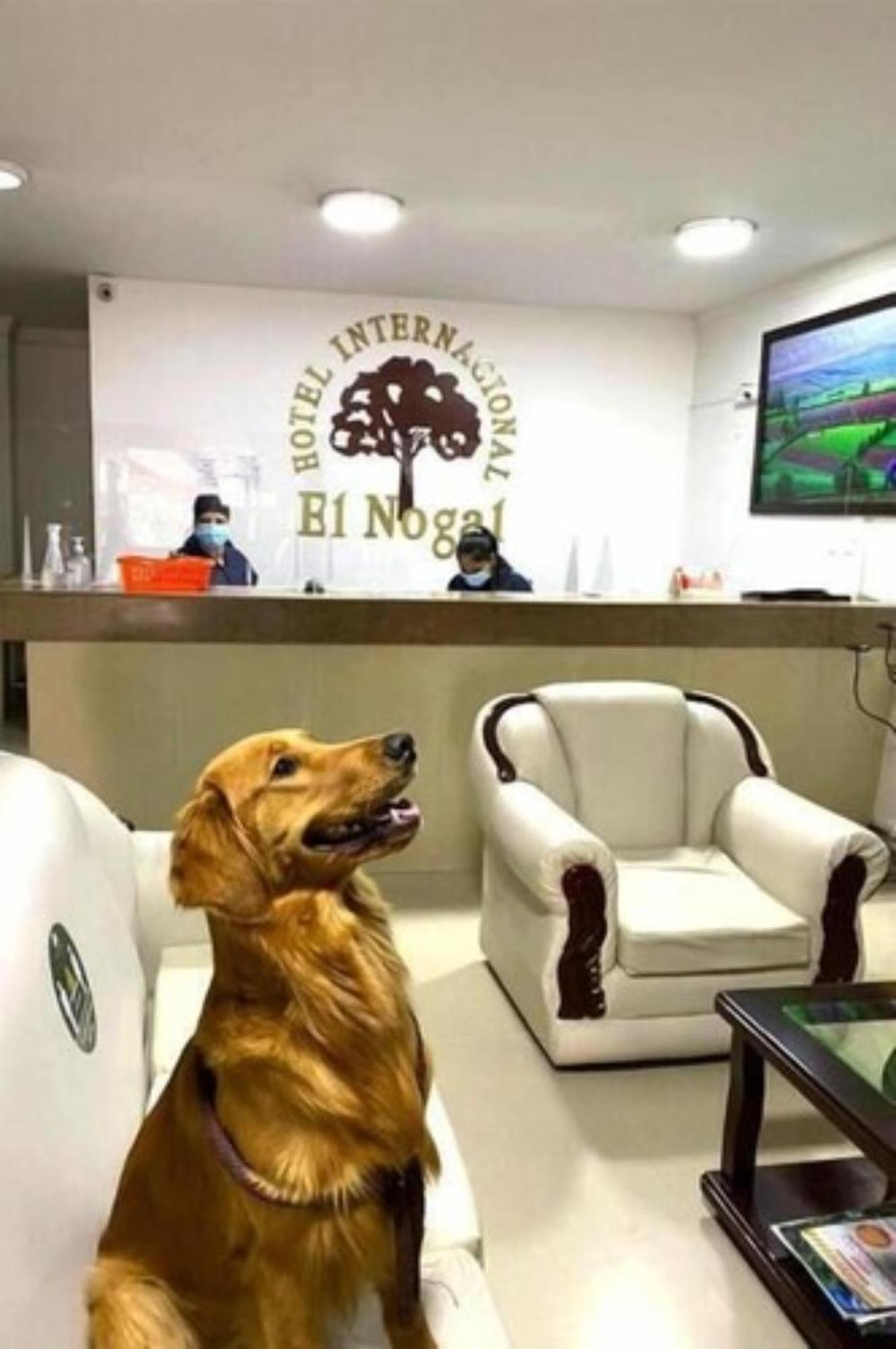 Internacional El Nogal Ipiales Hotel Luaran gambar